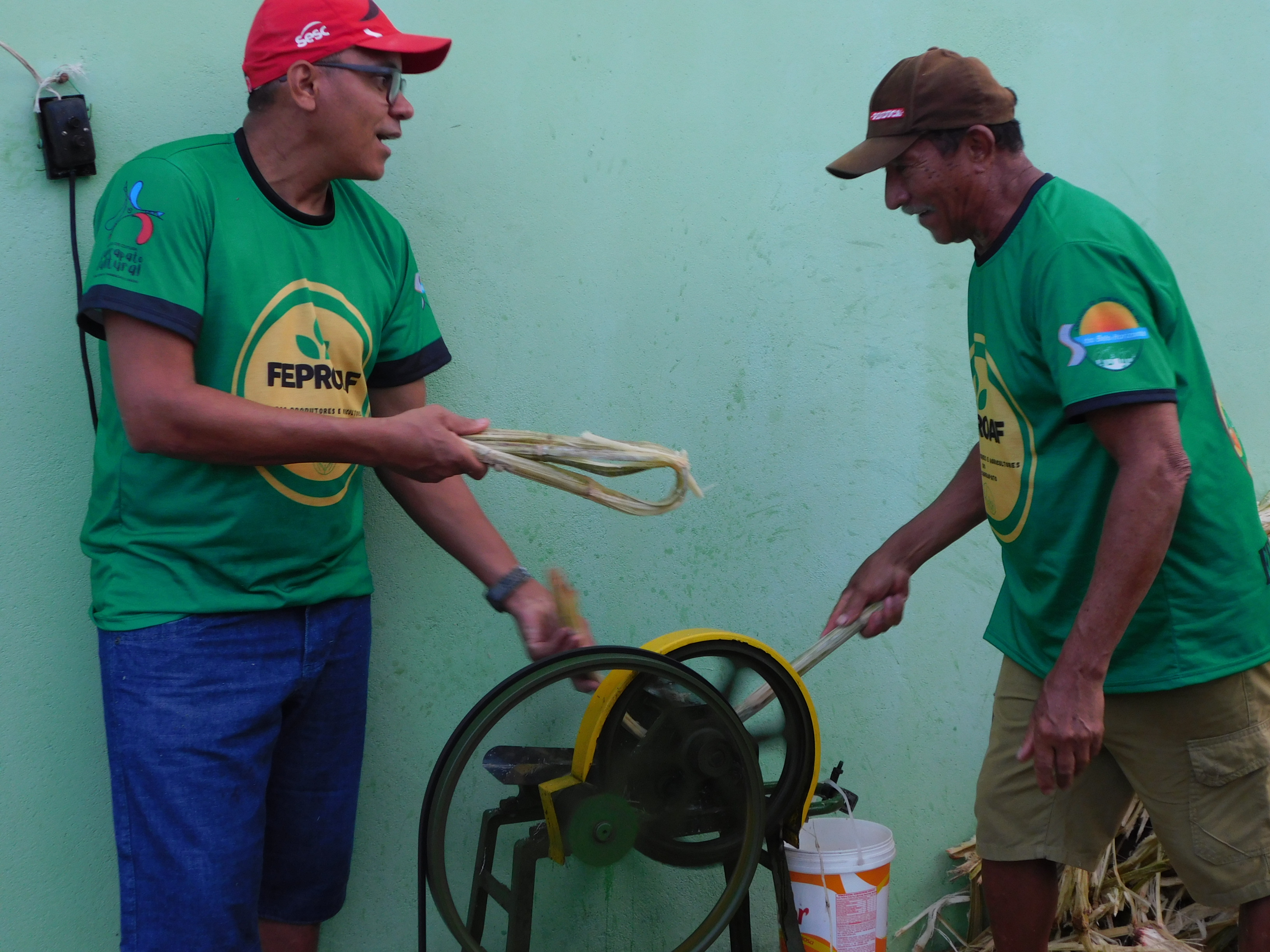 carrapatocultural.com 